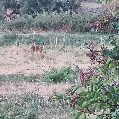 Family - Nature, Quiet, Near Le Mans