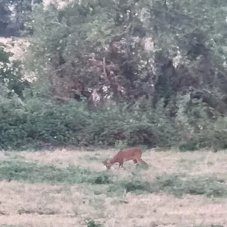 Family - Nature, Quiet, Near Le Mans Villa
